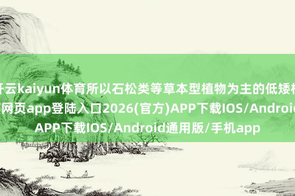 开云kaiyun体育所以石松类等草本型植物为主的低矮植被体系-kai云体育网页app登陆入口2026(官方)APP下载IOS/Android通用版/手机app
